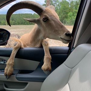 Meet your Posher, Joe